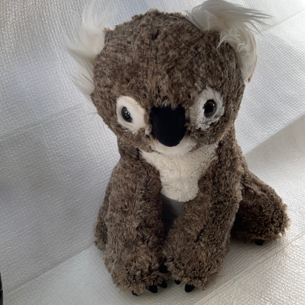 Koala bear